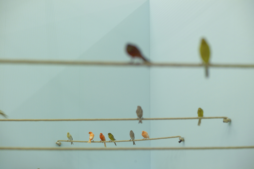 02_Alex_Hanimann_2004_Ausstellungsansicht_KunstHalle_SanktGallen